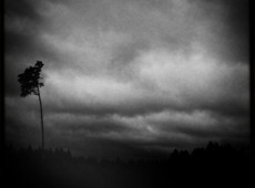 IMG_4221
